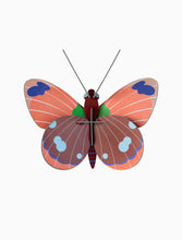 Load image into Gallery viewer, Delias Butterfly