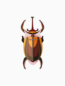 Elephant Beetle