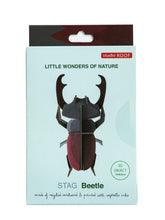 Load image into Gallery viewer, Stag Beetle