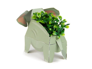 CREATE YOUR OWN JUNGLE PLANT PALS