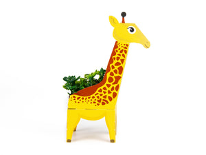 CREATE YOUR OWN JUNGLE PLANT PALS