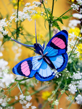 Load image into Gallery viewer, Peacock Butterfly