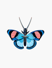 Load image into Gallery viewer, Peacock Butterfly