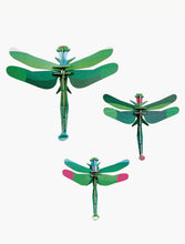 Load image into Gallery viewer, Dragonflies, Set of 3