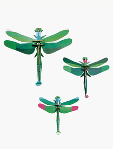 Dragonflies, Set of 3