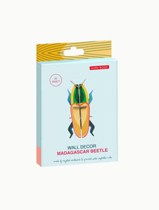 Madagascar Beetle