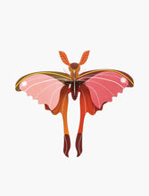 Load image into Gallery viewer, Pink comet Butterfly