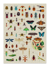 Load image into Gallery viewer, Insect jigsaw