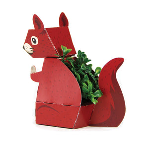 CREATE YOUR OWN WOODLAND PLANT PALS