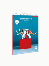 Load image into Gallery viewer, DIY Triceratops